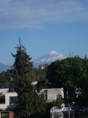 g3/49/586449/3/121814016.nCCO3OsL.jpg