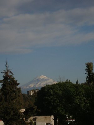 g3/49/586449/3/121814017.V0Zya7ff.jpg