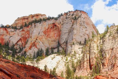 zion 2010_0514Image0193.jpg