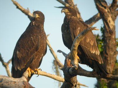 baeapiwoCN36321.jpg