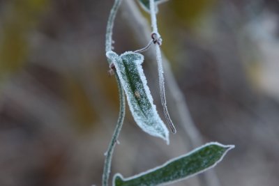 046