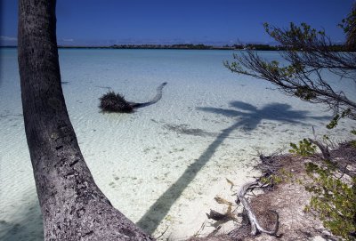 Bora Bora