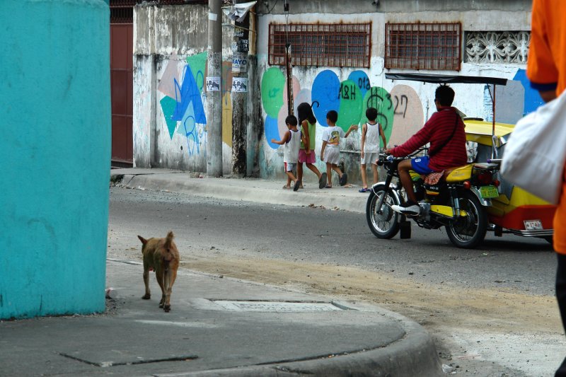 Street Scene