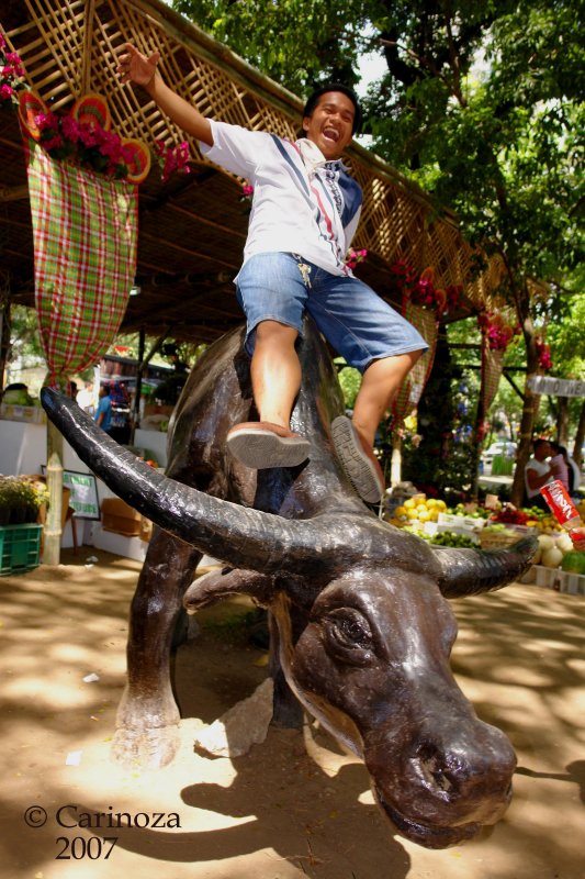 Carabao