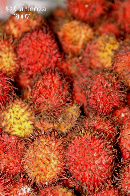 Rambutan