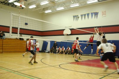 g3/49/682949/3/109865225.v67X1N6n.jpg