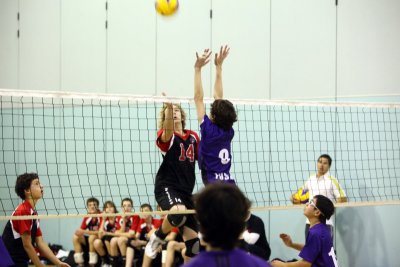 g3/49/682949/3/120956223.58Jhtg5c.jpg