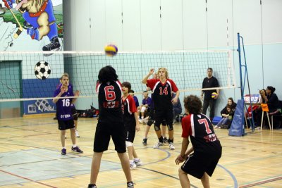 g3/49/682949/3/120956232.uD3GPHwf.jpg