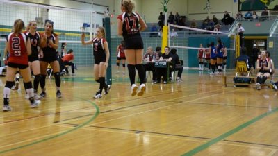 g3/49/682949/3/121319945.8hGJ3IZJ.jpg
