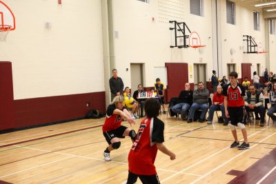 g3/49/682949/3/121811720.sTwaLtoL.jpg