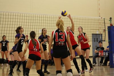 g3/49/682949/3/122183171.2xD5dWCN.jpg