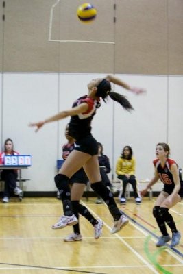 g3/49/682949/3/122296315.J73ac6B6.jpg