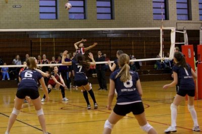 IMG_2321.jpg