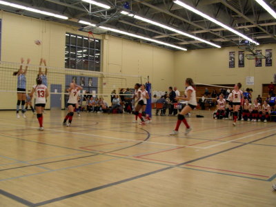 g3/49/682949/3/89048818.C5kqItup.jpg