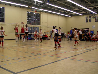 g3/49/682949/3/89048824.1JFE7pIo.jpg
