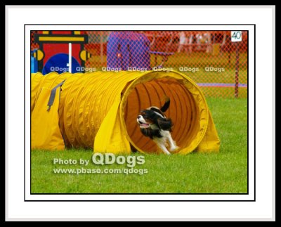 August 2008 Advanced Standard 1