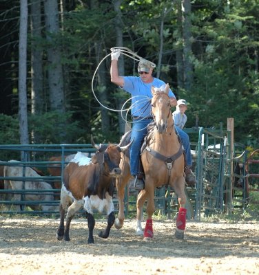 Team roping; Cowboys and such