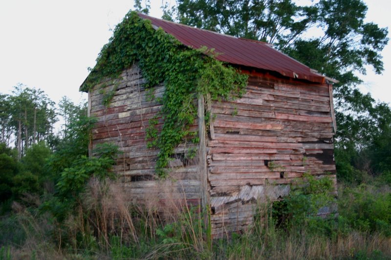 Old Tobacco barn on Hy. 84  in Florida