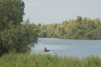 Biesbosch