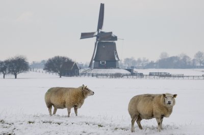 Etersheimer Braakmolen