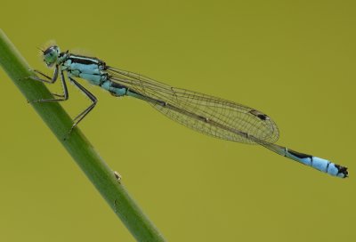 g3/49/747649/3/125271045.5AVjPDbB.jpg