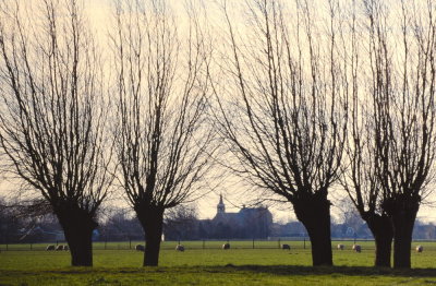 Spierdijk