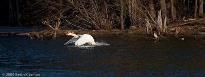 20090324_Nashua-River_0138