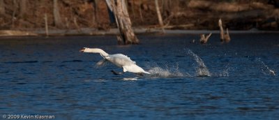 20090324_Nashua-River_0147