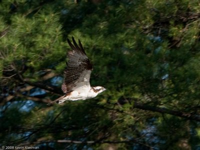 20090530_Nashua-NH_0058