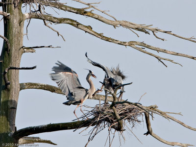 20100320_North-Andover-MA_0145