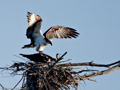 20100414_Nashua-NH_0021