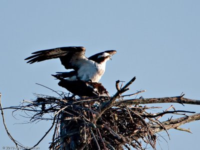 20100414_Nashua-NH_0023