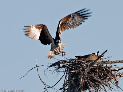 20100414_Nashua-NH_0044