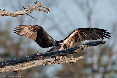 20100414_Nashua-NH_0045