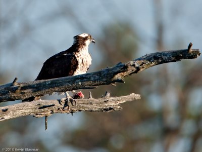 20100414_Nashua-NH_0053