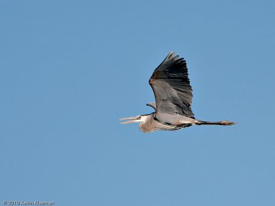 g3/49/749849/3/123674940.n46hlQ2x.jpg