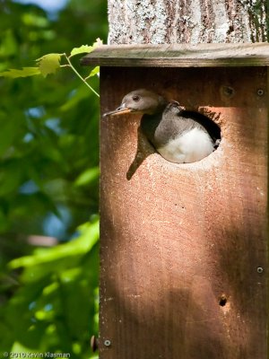 20100515_Hampstead-NH_0026