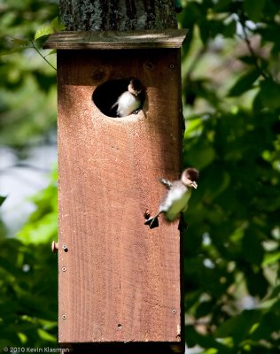 20100515_Hampstead-NH_0066