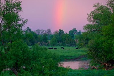 Rainbow, Pasture