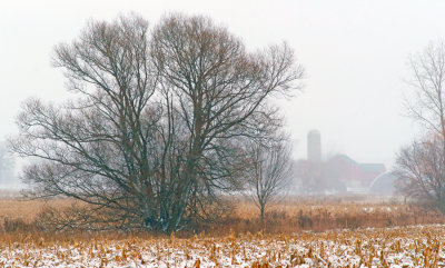 Fenceline Snowstorm
