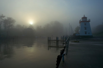 Fog, Harbour