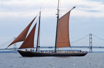 Schooner