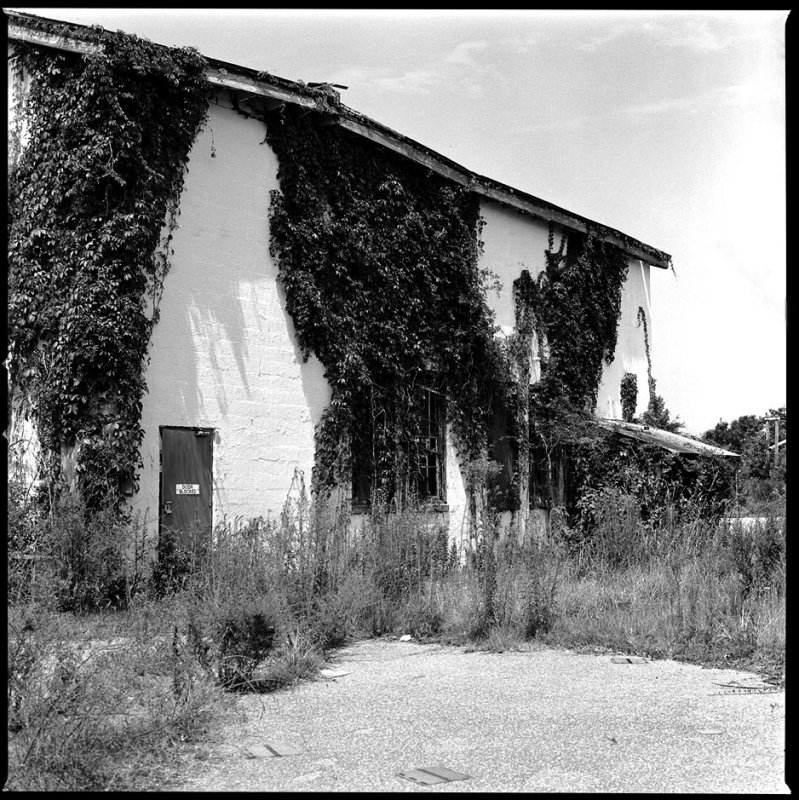 Ruin #5