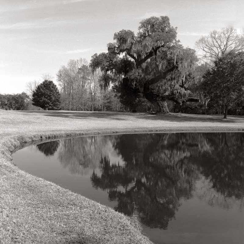 Drayton Hall 2