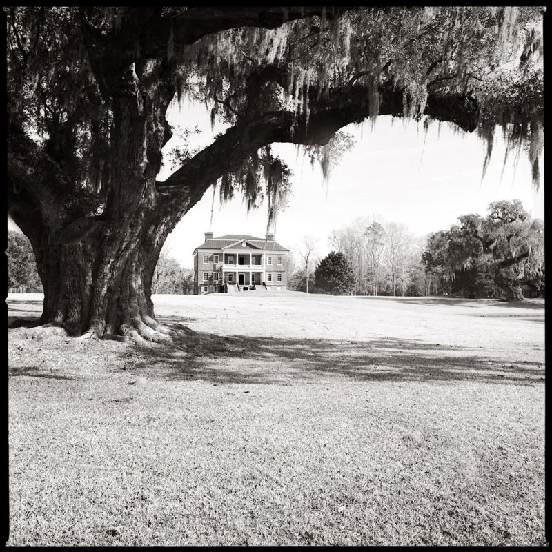 Drayton Hall 3