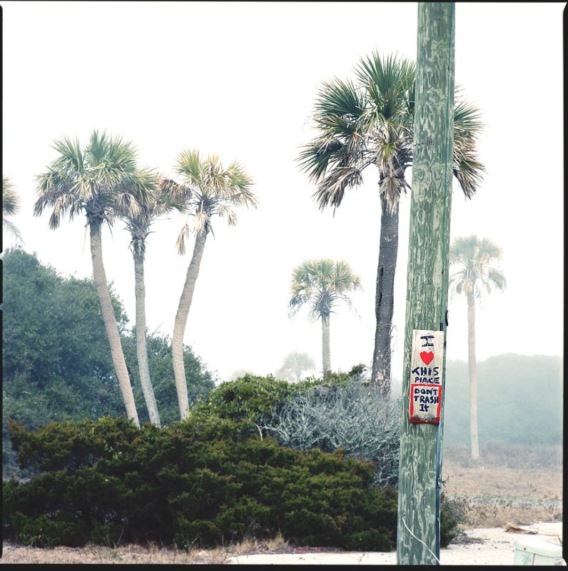 Folly Beach #5