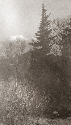 g3/49/766749/3/101612371.AR1M227l.jpg