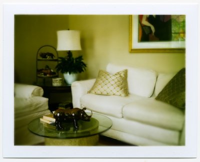 Sumptuosity III<br><font size=2><font color=Orange>Polaroid</font color=Orange>