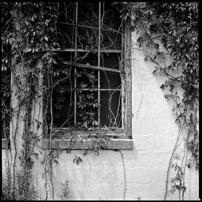 Ruin #1