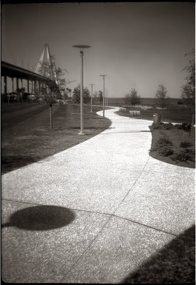 Foldex-20 #3